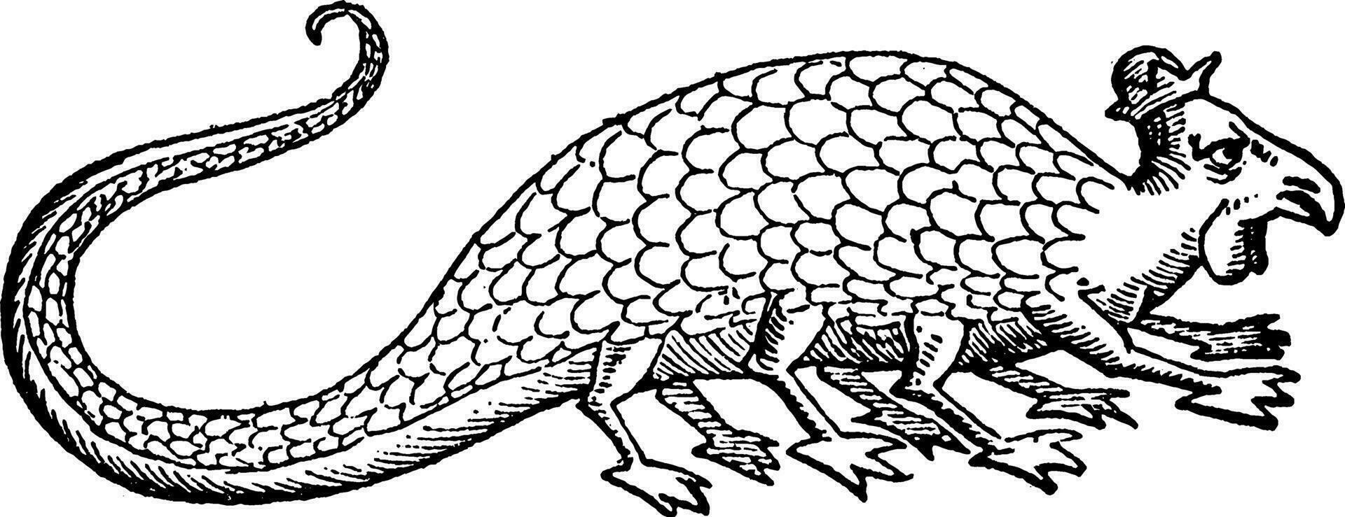 Basilisk vintage illustration. vector