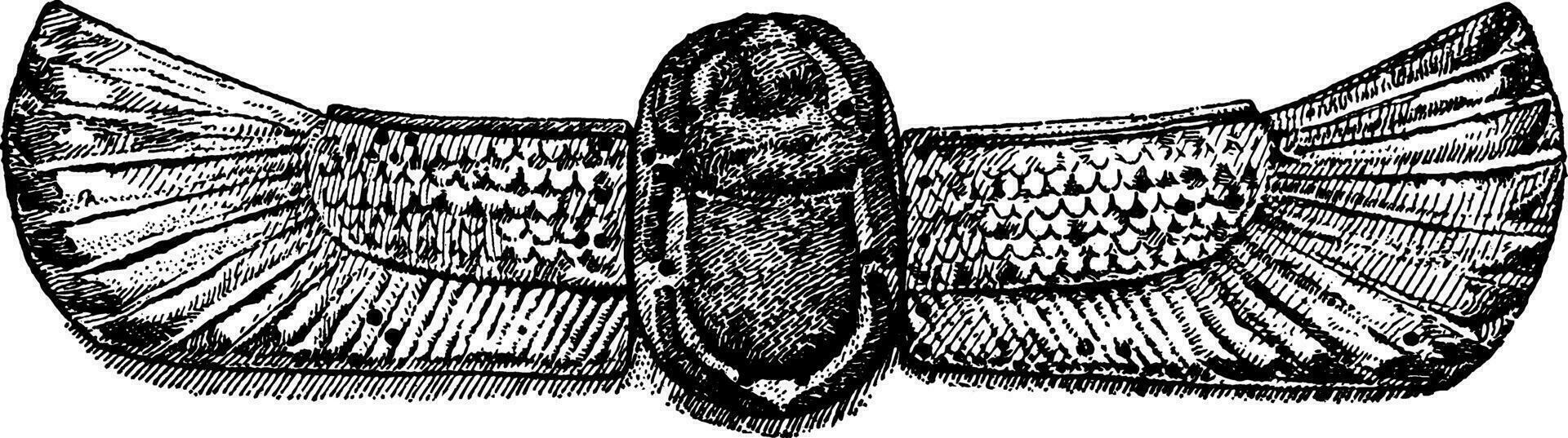 Scarab is a common motive in Egyptian art, vintage engraving. vector