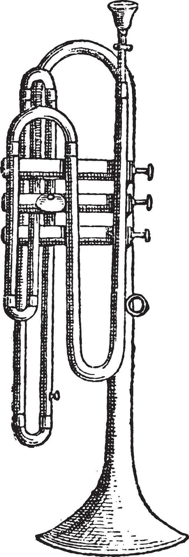 Flugelhorn, vintage engraving. 35465917 Vector Art at Vecteezy