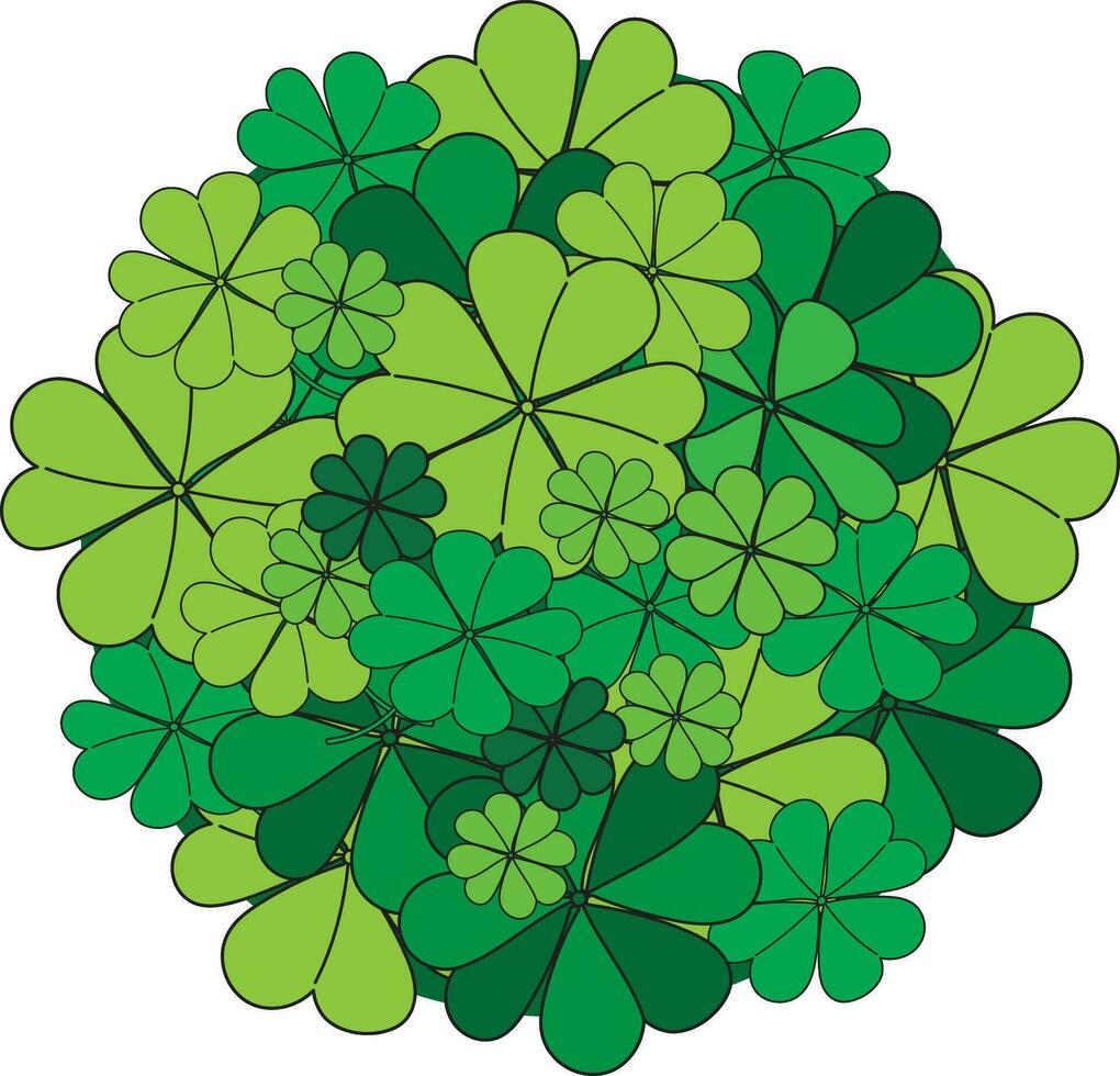 Illustration clover of Creeping lady's sorrel leaves background. vector