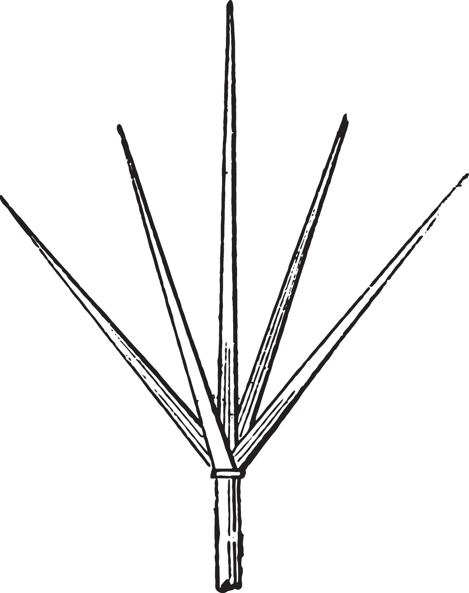 Lightning rod or Lightning conductor, vintage engraving. 35466968