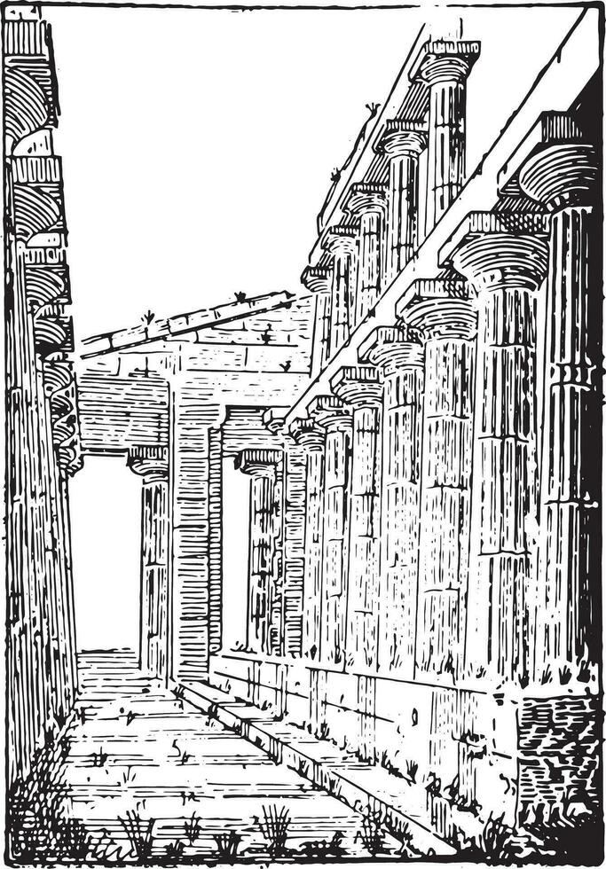 The Temple of Neptune or Temple of Hera II at Paestum, vintage e vector