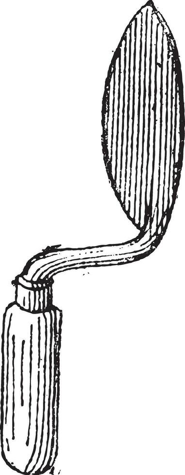 Spatula, vintage engraving. vector