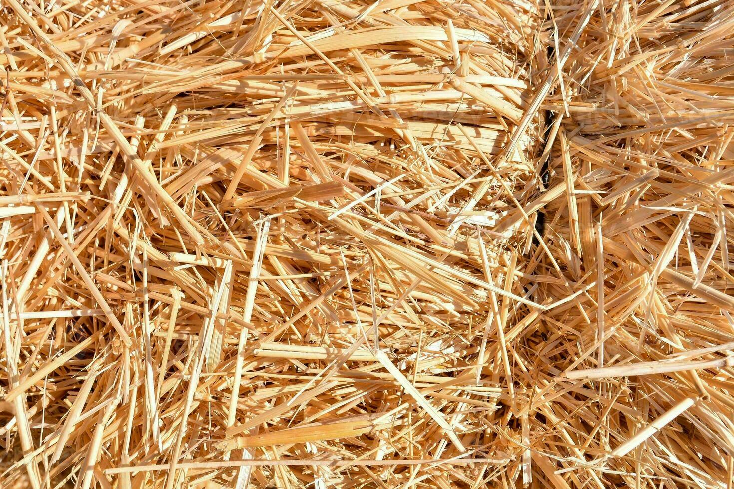 a pile of straw texture photo