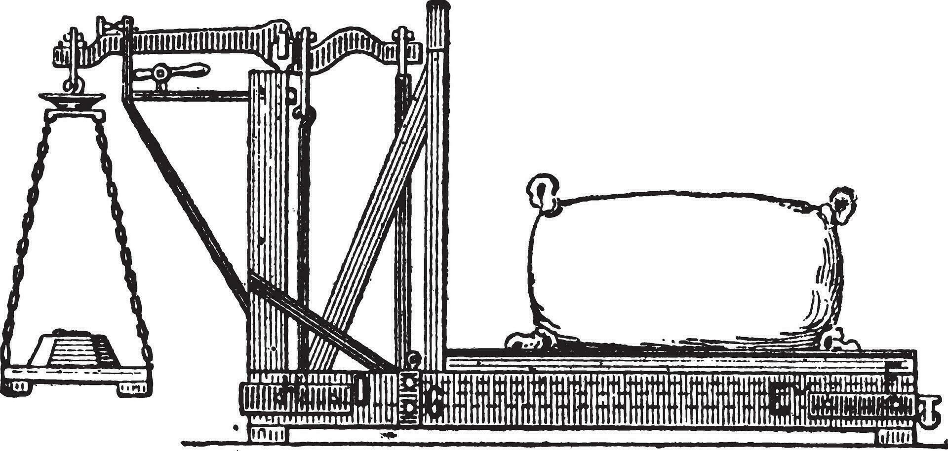 Fig. 3. Quintenz balance, vintage engraving. vector