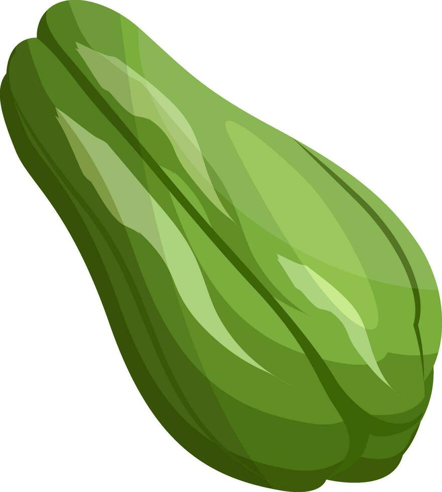Green cartoon chokos vector illustration of vegetables on white background.