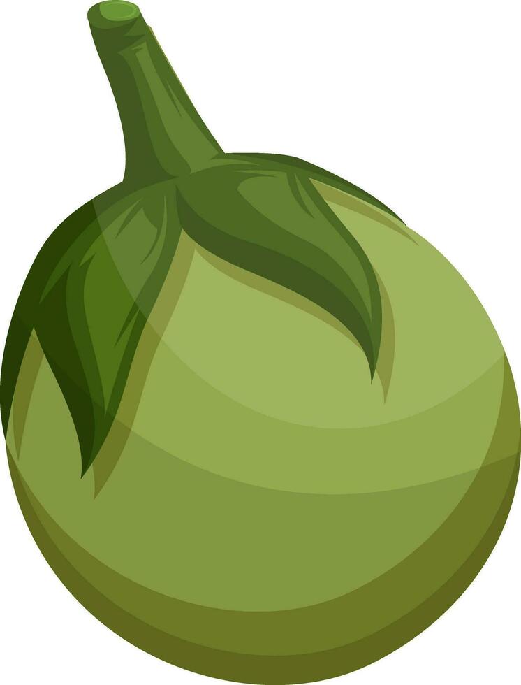 Green eggplant vector illustration of vegetables on white background.