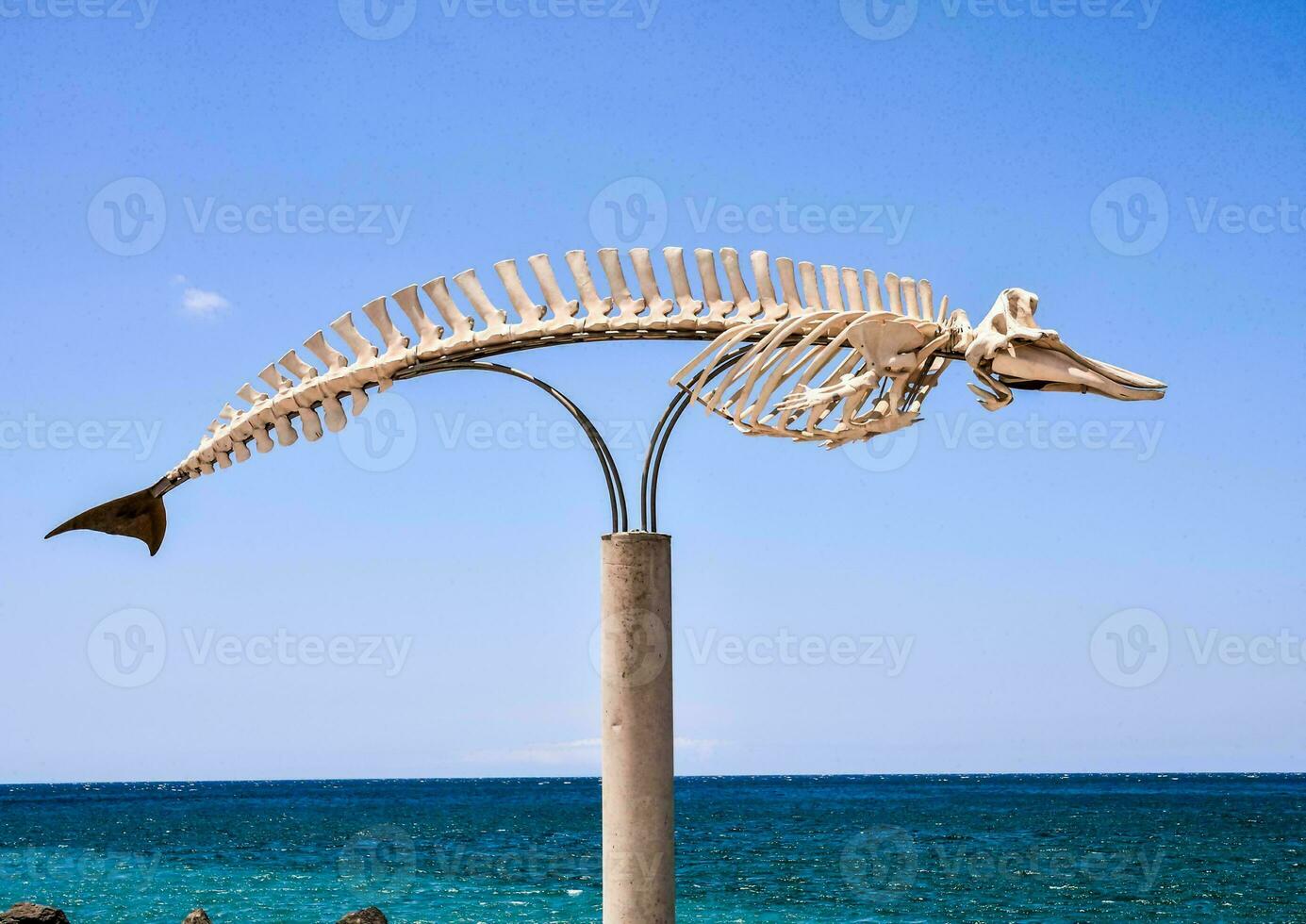 a fish skeleton on a pole near the ocean photo