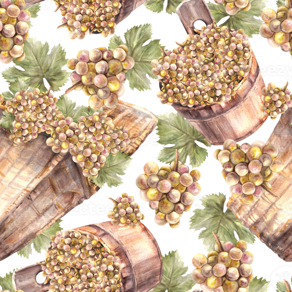Watercolor seamless pattern. Bunch of green yellow grapes, leaves with basket and bucket of harvest. Grapevine hand painted. Wrapping paper, labels. Botanical illustration background png
