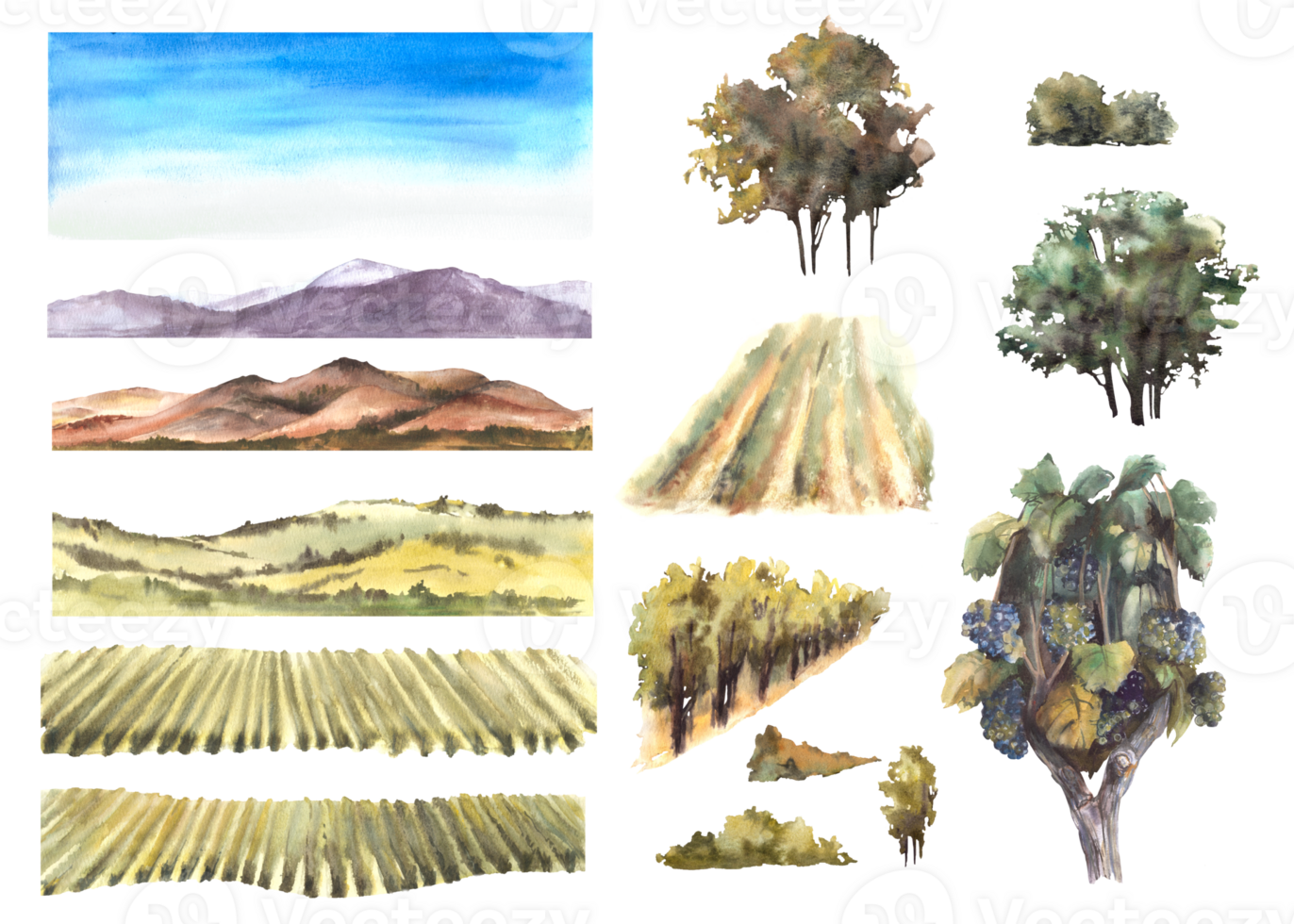 Watercolor landscape with grape fields, vineyards, bushes, trees, hills, sky and mountains. Constructor assemble yourself, winemaking template label Hand draw illustration png