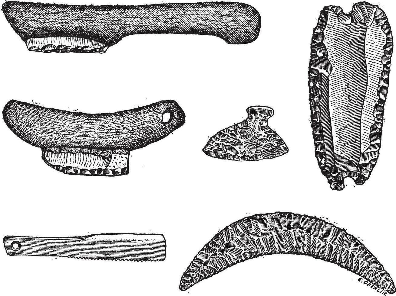 prehistórico sierras, Clásico grabado. vector