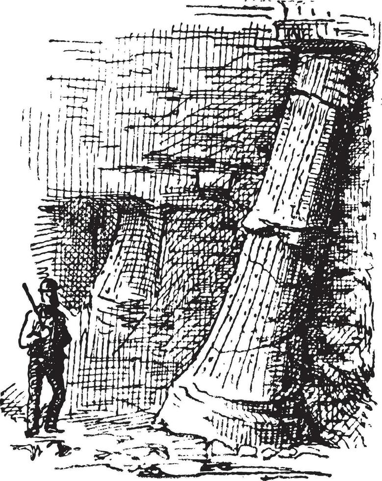 Sigillaria, vintage engraving. vector