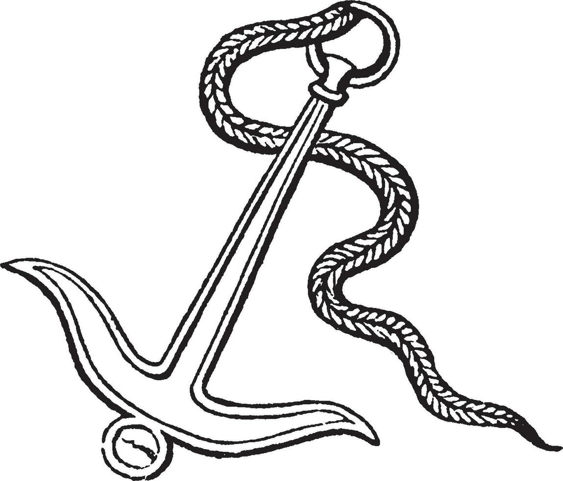 Ancora, vintage illustration. vector