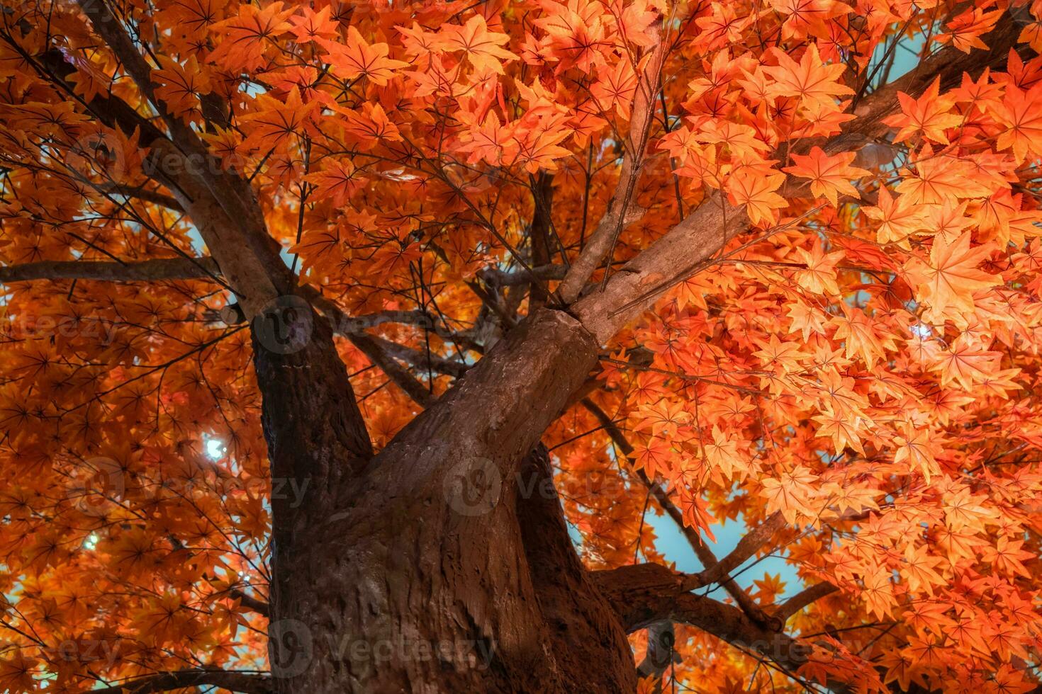 Maple artificial leaves colorful vivid photo