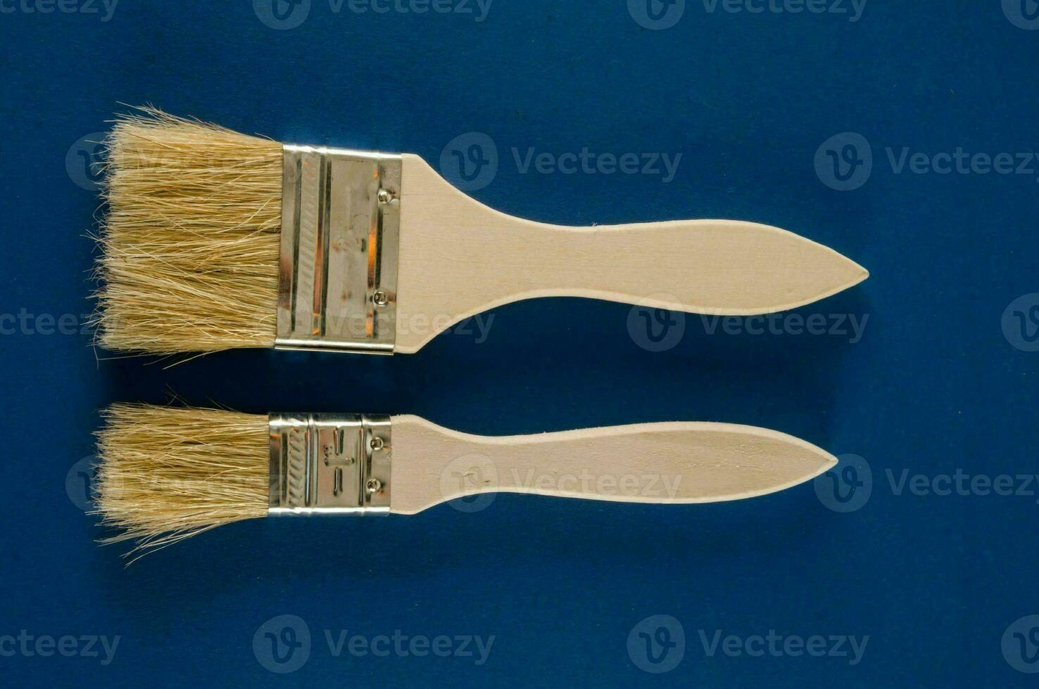 two brushes with white bristles on a blue background photo