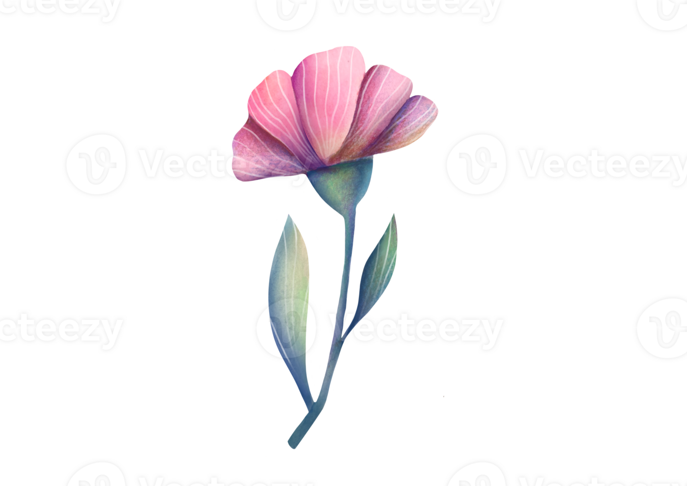 Watercolor trendy pink Flower rosehip or rose. cute plant on transparent background. for Wedding Invitation, save the date, thank you, greeting card. floral botanical clip art cut out illustration png