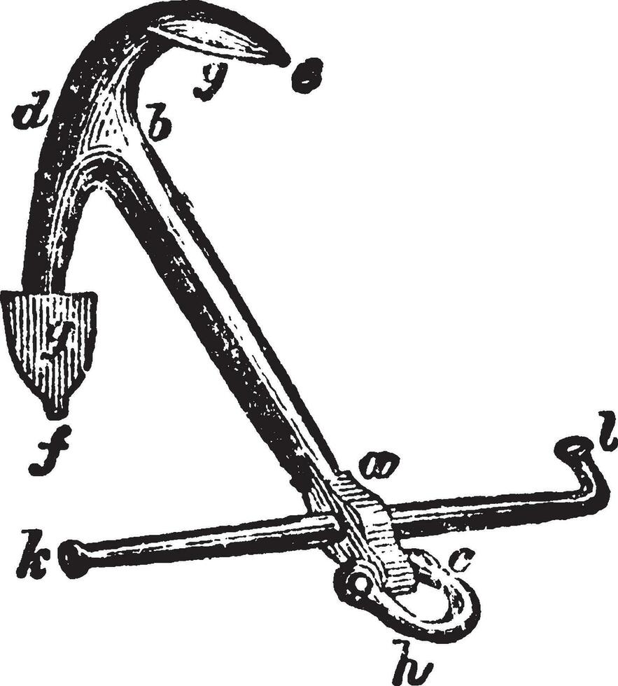 Common Anchor, vintage illustration. vector