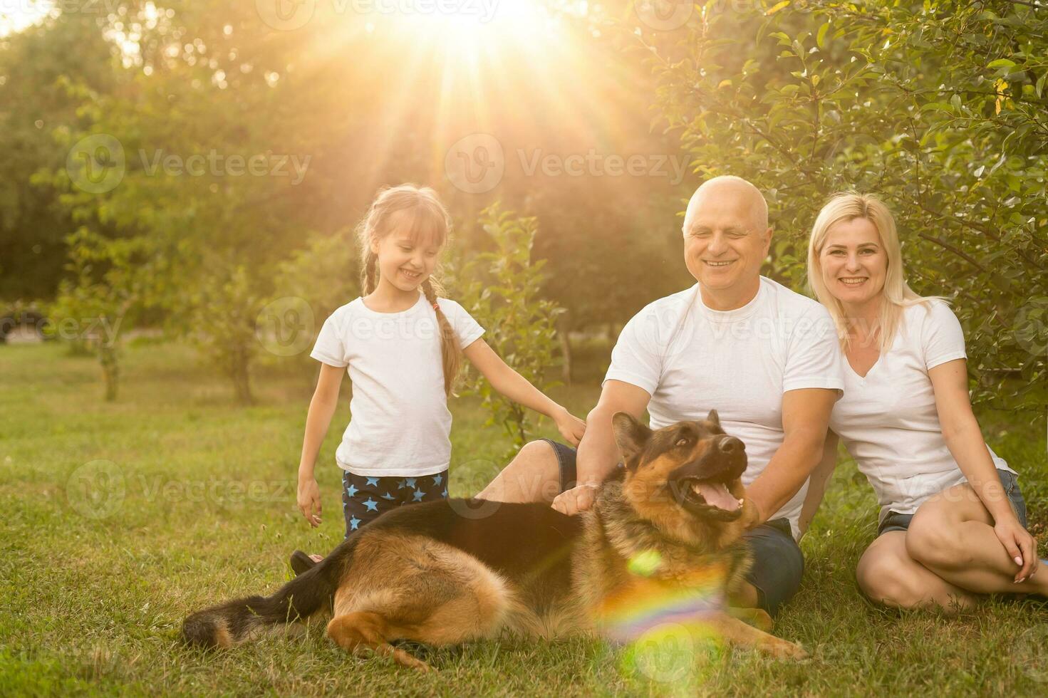 Portrait of an extended family with their pet dog sitting at the park photo