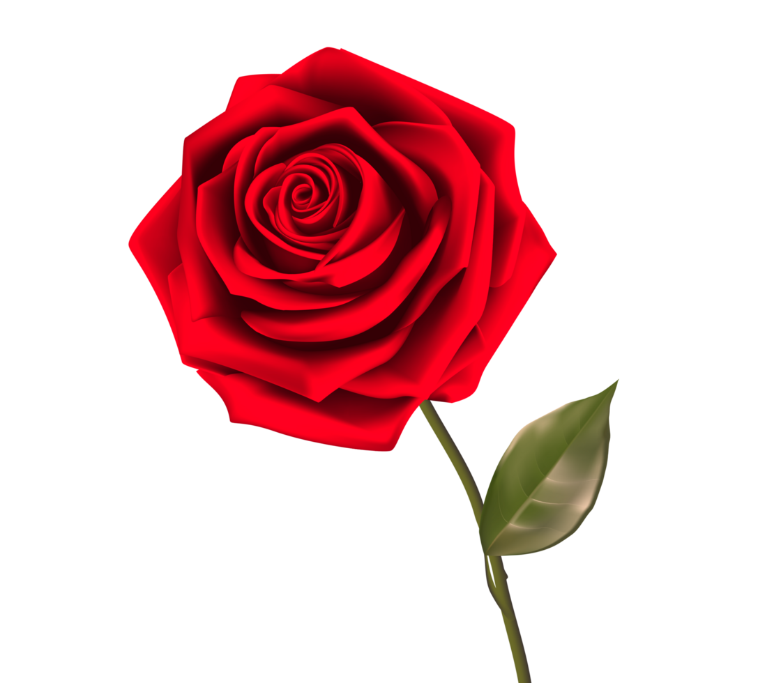 Rose Single Red RoseredrosetransparentbackgroundPNG 35470700 PNG