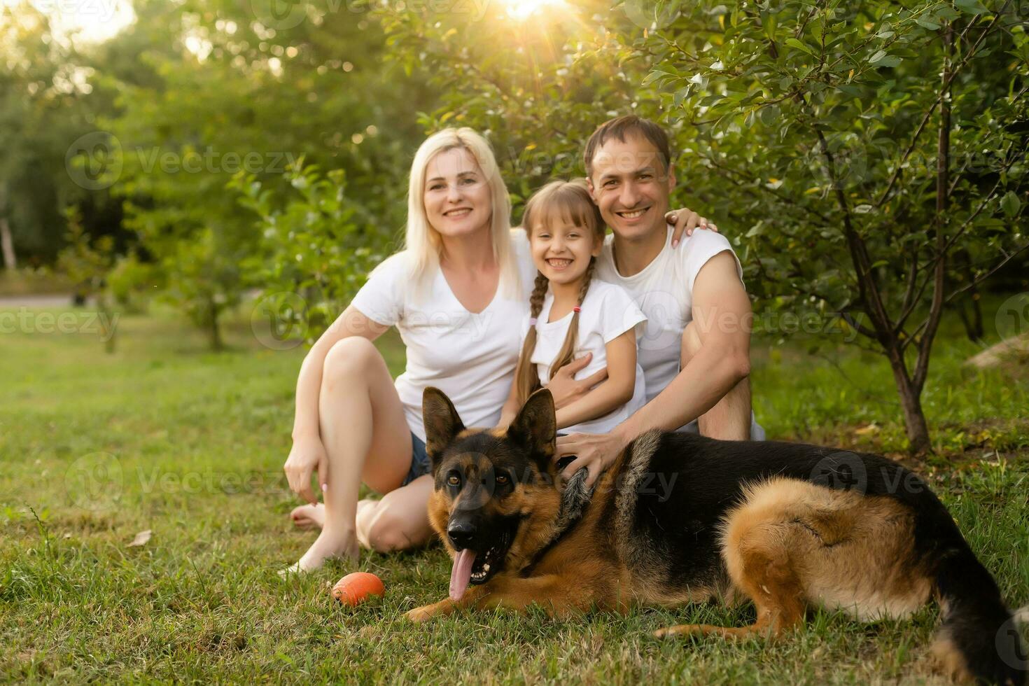 Portrait of an extended family with their pet dog sitting at the park photo