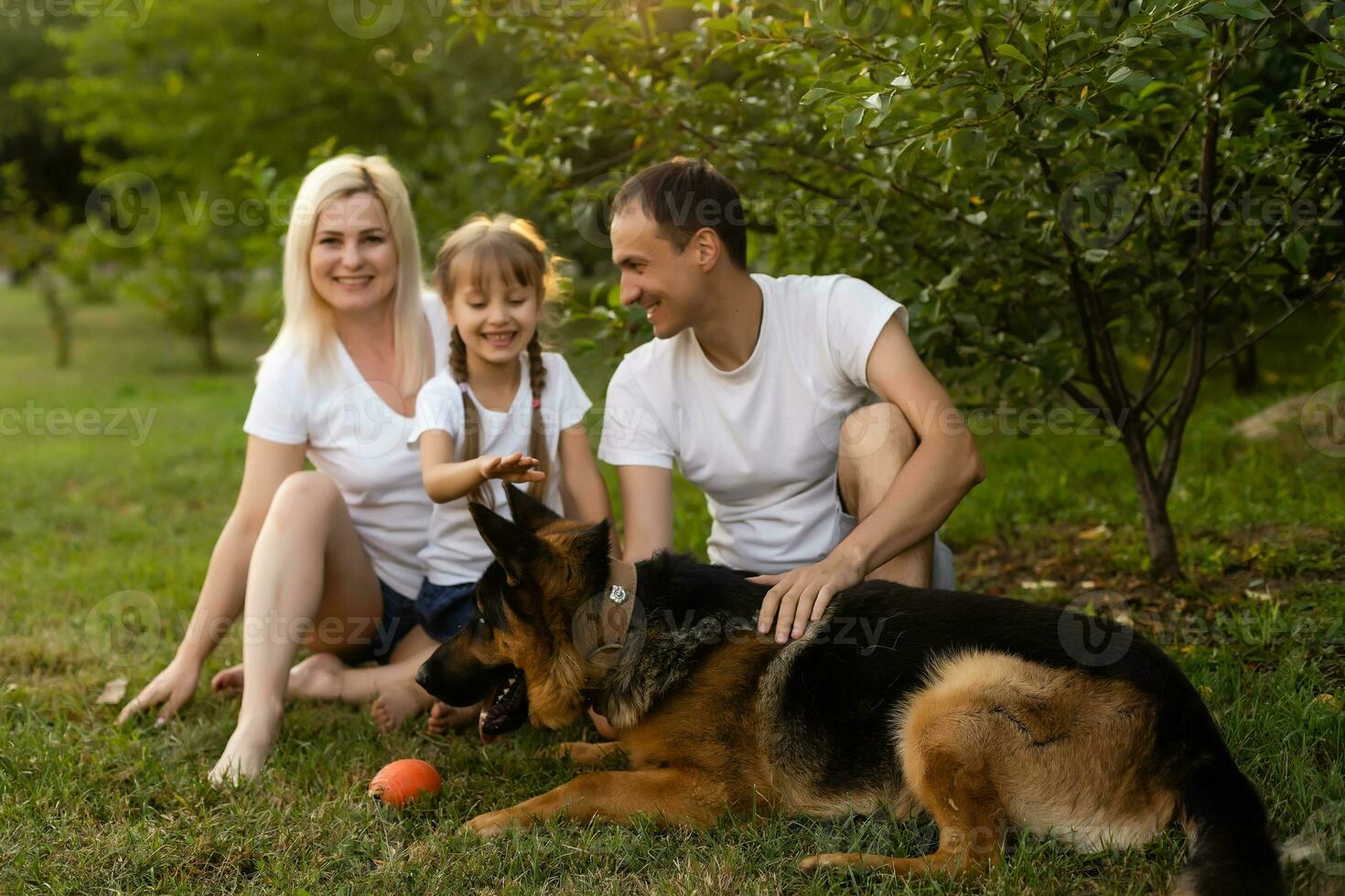 Portrait of an extended family with their pet dog sitting at the park photo