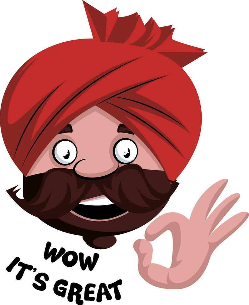 Indian male character - wow its great vector