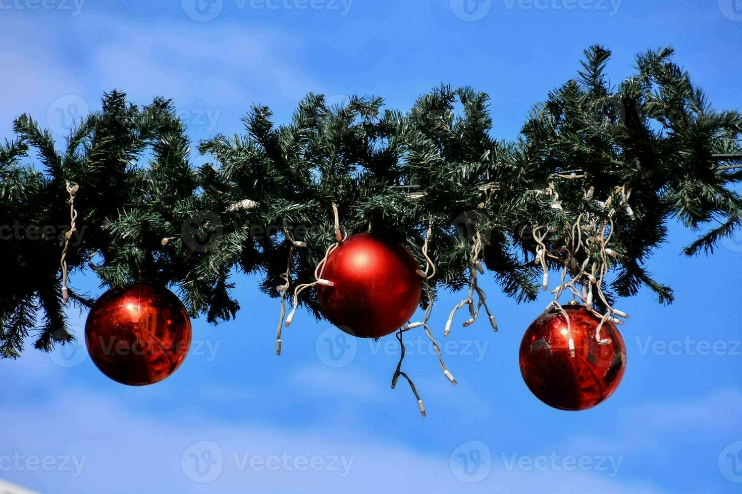 christmas decorations hanging from a tree branch photo