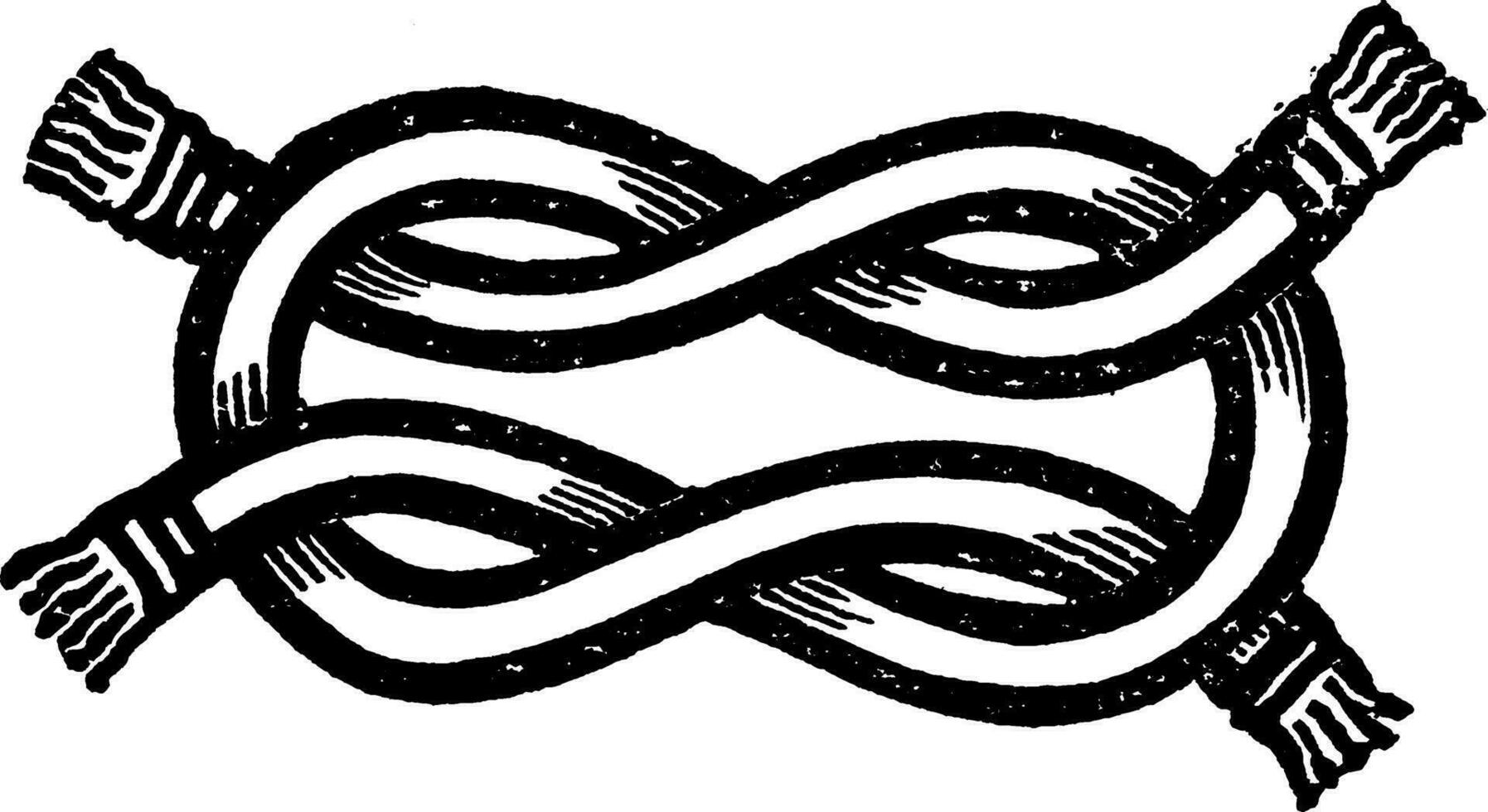 Bourchier Knot, vintage illustration. vector