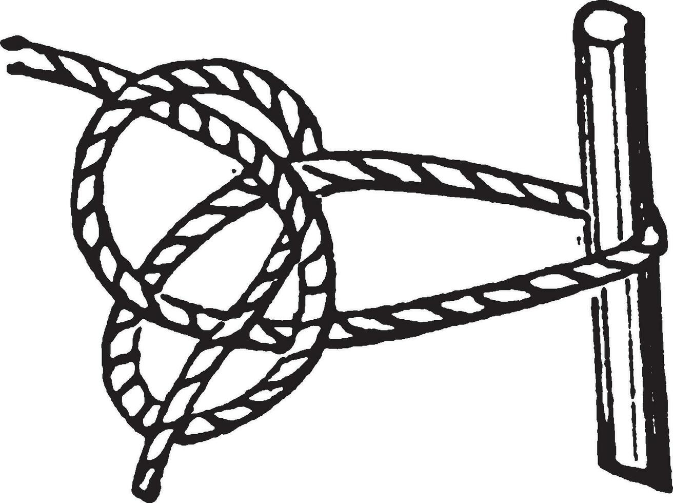 Capstan Knot, vintage illustration. vector