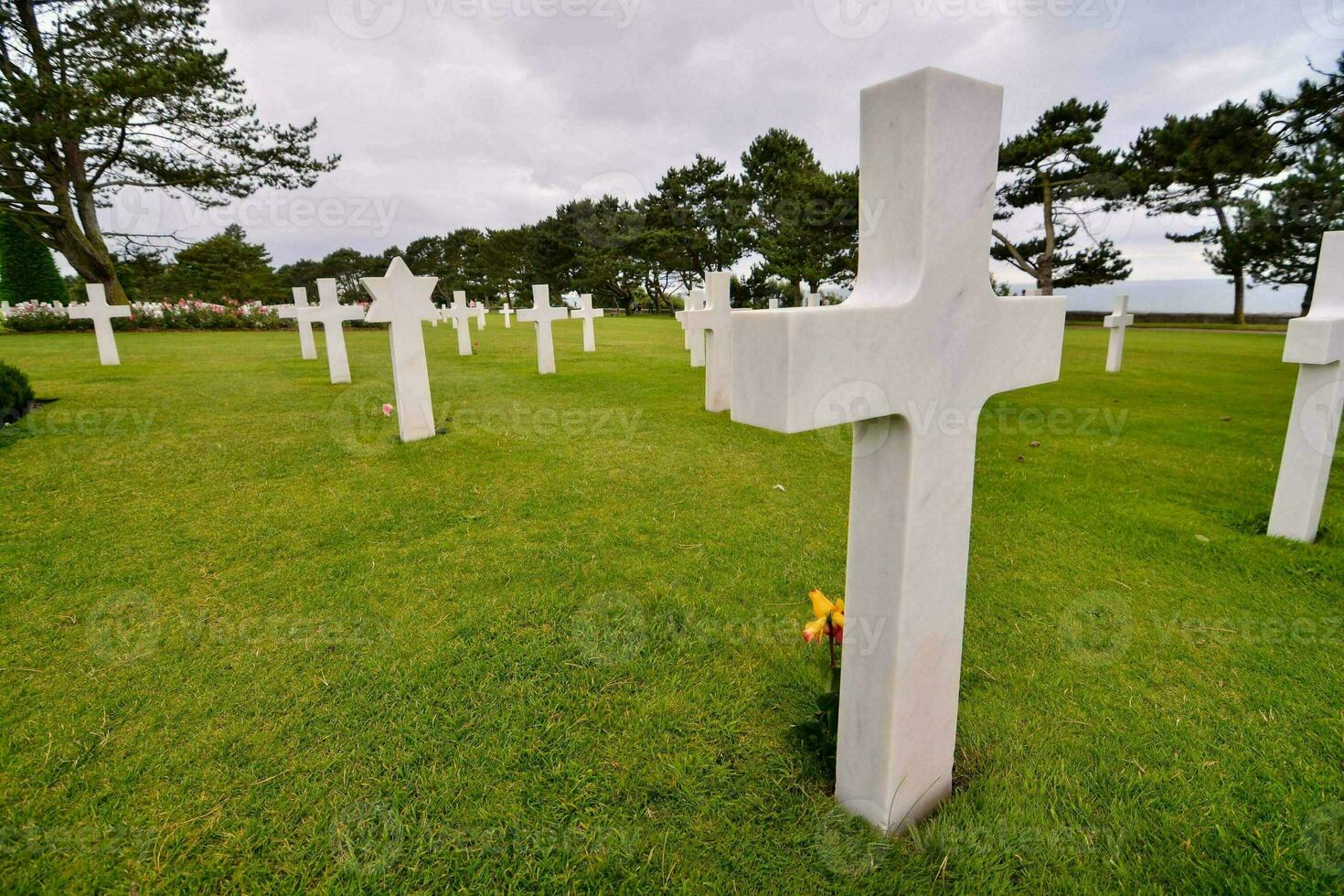 rows of white crosses in a grassy field photo