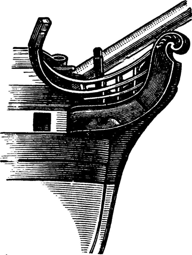 Fiddle Head, vintage illustration. vector