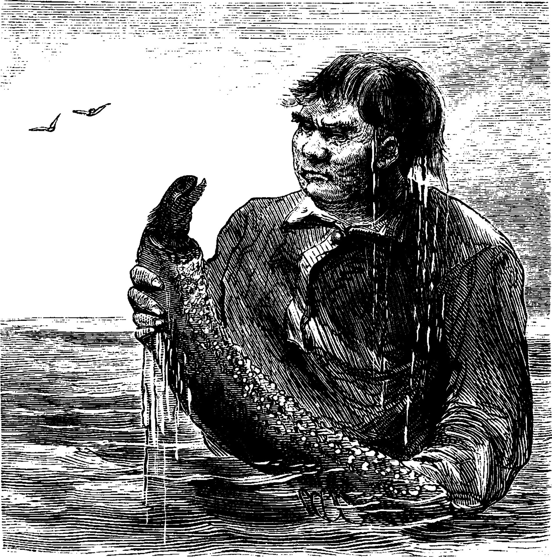 Sea Cucumber Scandal: The Decomposition Debate Rages On! - ryd3bd2
