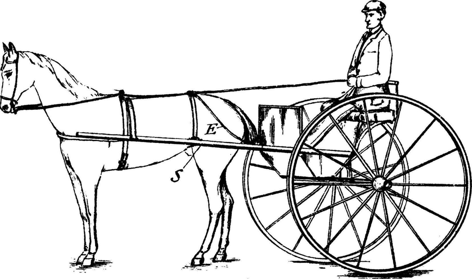 Bridle Connected Safety Rein, vintage illustration. vector