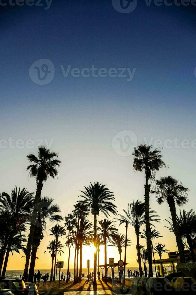 el Dom conjuntos detrás palma arboles en un playa foto