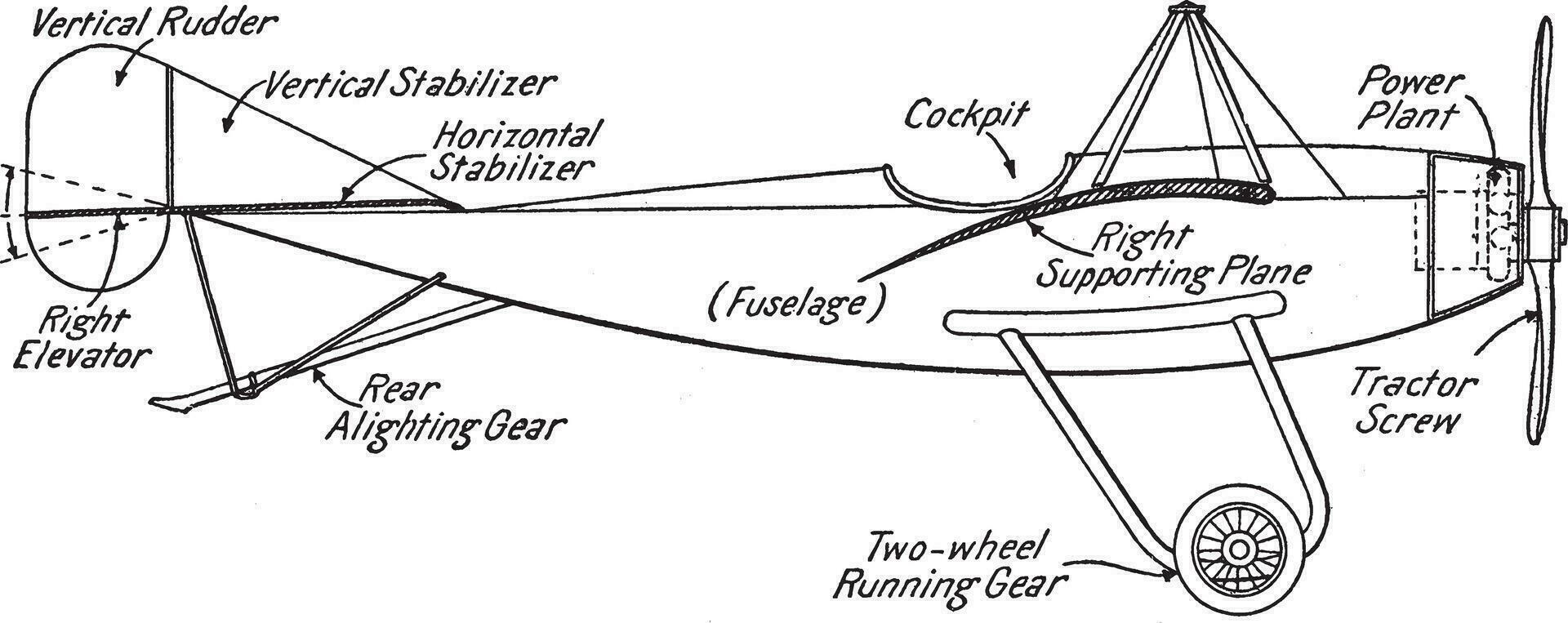 Typical Monoplane, vintage illustration. vector