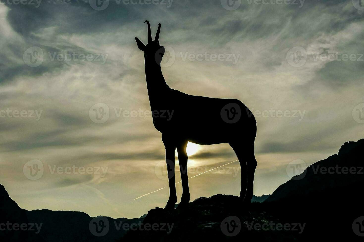 silhouette of a deer standing on a rock in the mountains photo