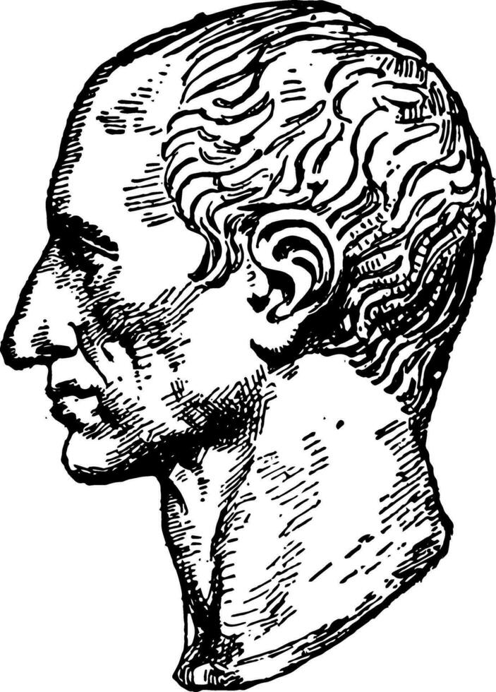 Bust of Julius Caesar vintage illustration vector