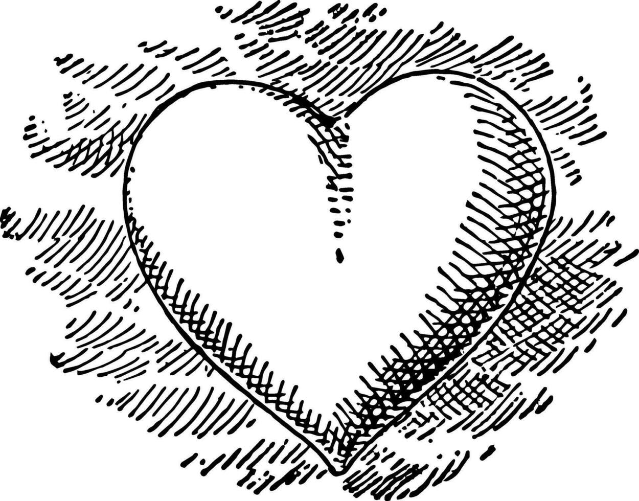 Heart vintage illustration. vector