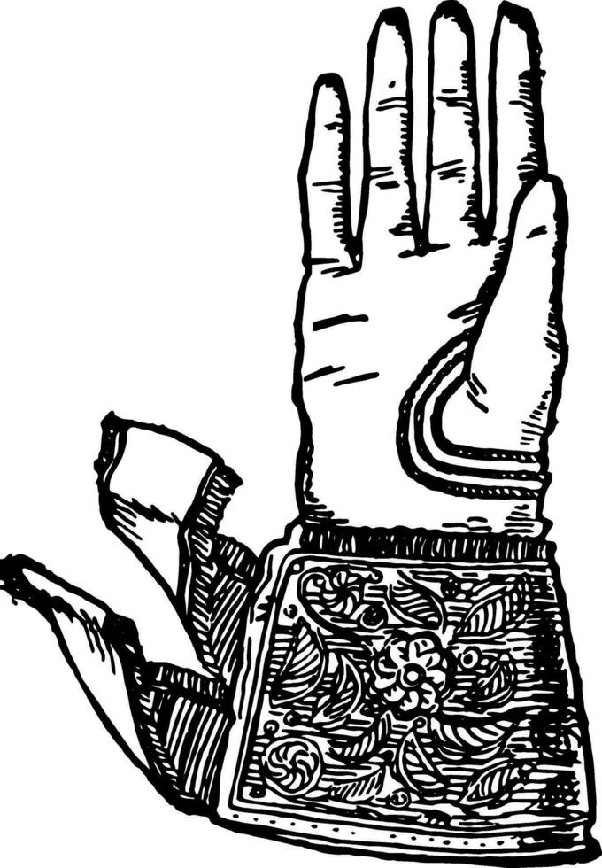 A very common glove, vintage engraving. vector