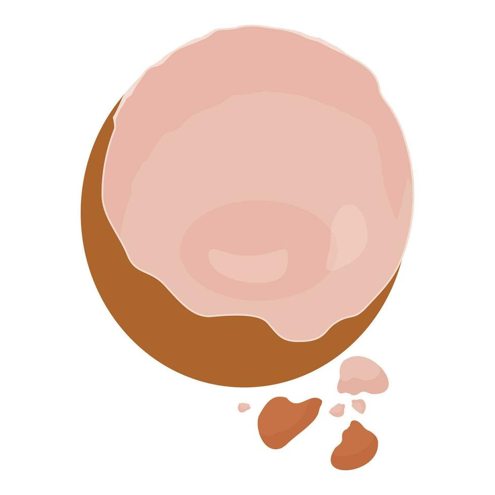 Empty eggshell icon cartoon vector. Broken food yolk vector