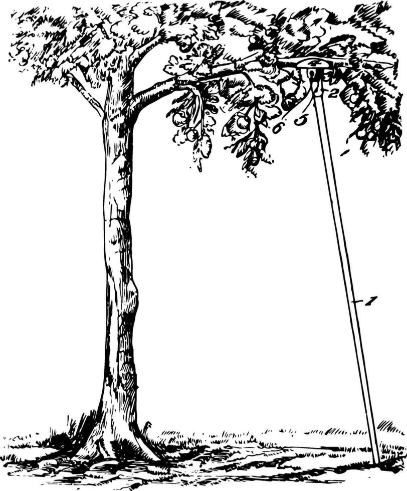 Tree Prop vintage illustration. vector
