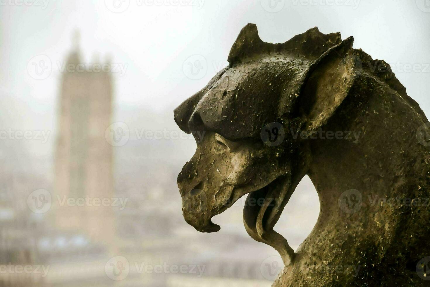 a statue of a dragon on a building with a city in the background photo