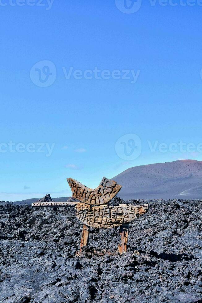 a wooden sculpture on the lava field photo