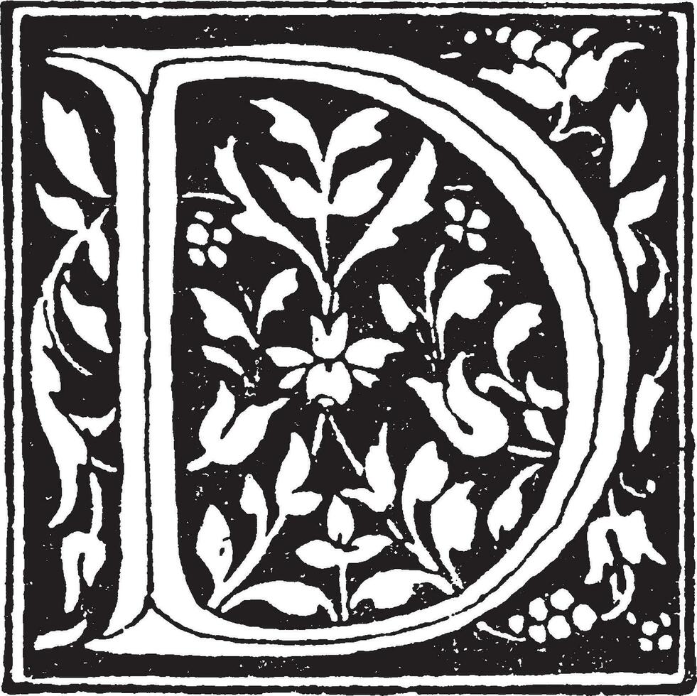 D, Renaissance, vintage illustration vector