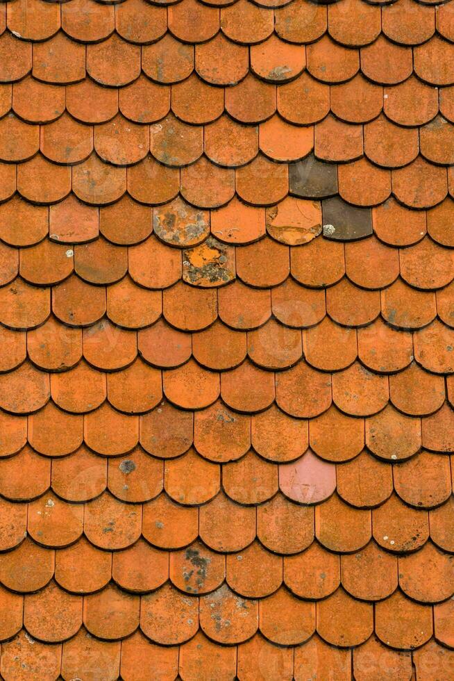 an orange tiled roof photo