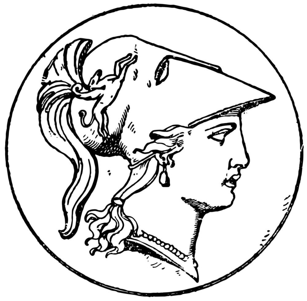 Right Minerva Head vintage illustration. vector