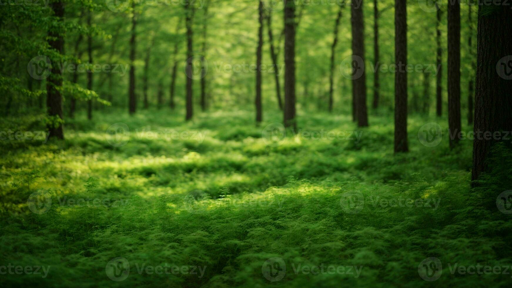 AI generated Describe the subtle variations in shades of green during different seasons, emphasizing the transition from spring to summer in a temperate forest. photo