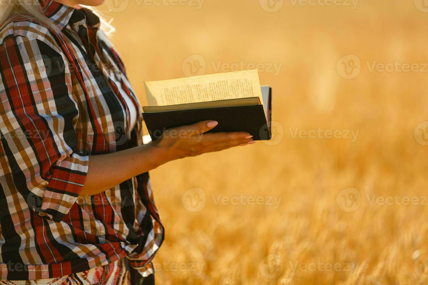 mujer participación un Biblia, un natural campo. foto