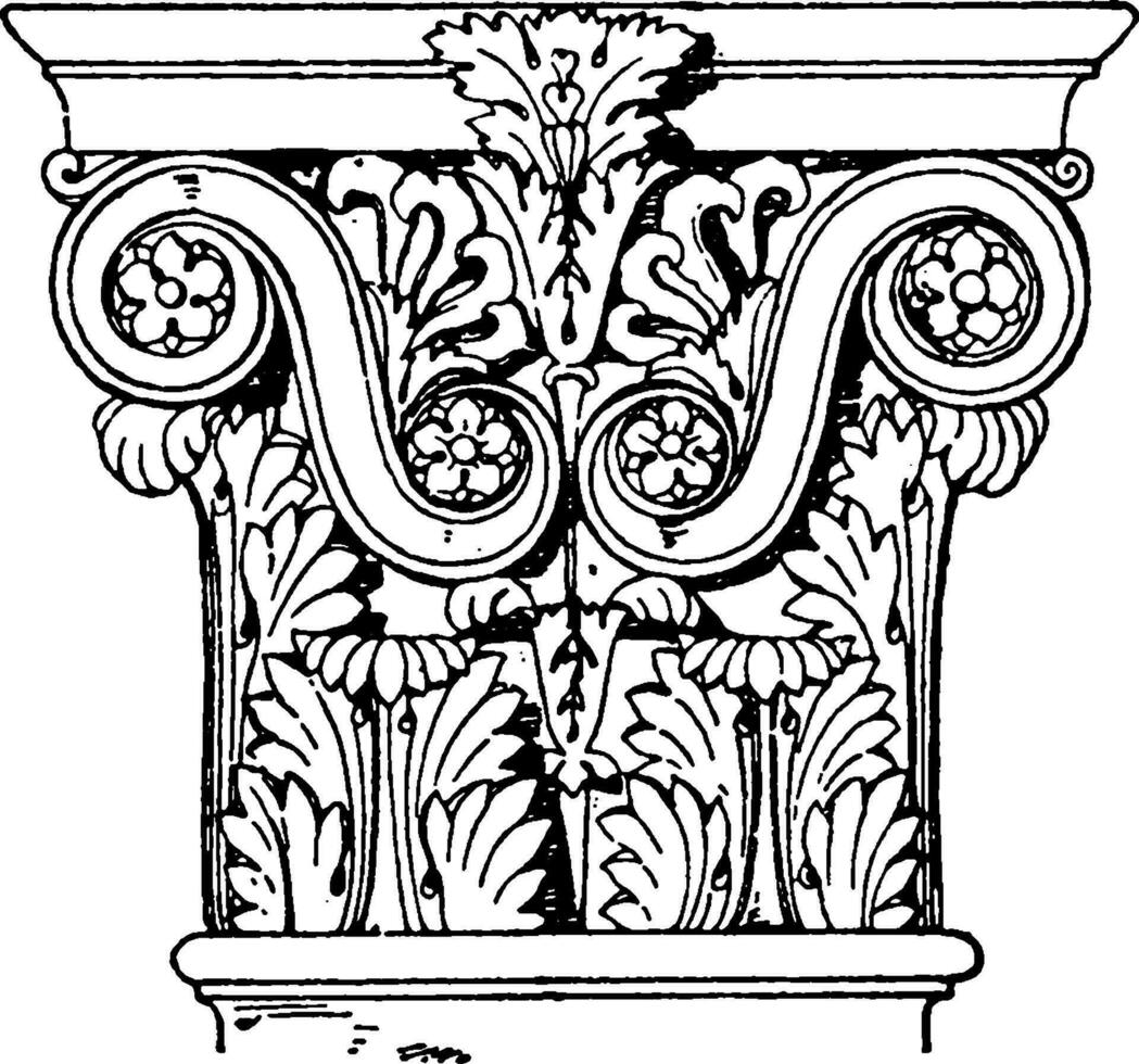 Roman-Corinthian Pilaster Capital, Rome,  vintage engraving. vector