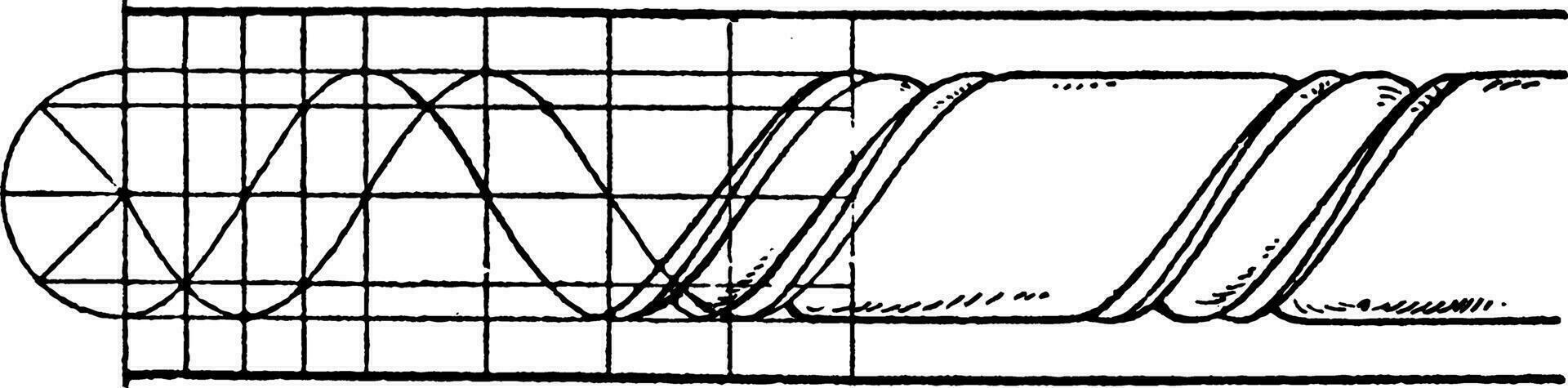 Twisted Rope Bead Moulding, depth,  vintage engraving. vector
